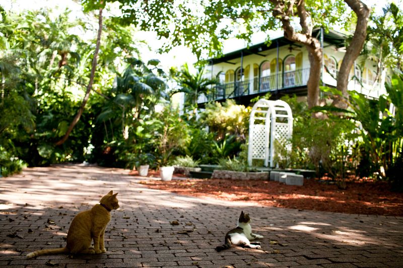 Hemingway House, USA