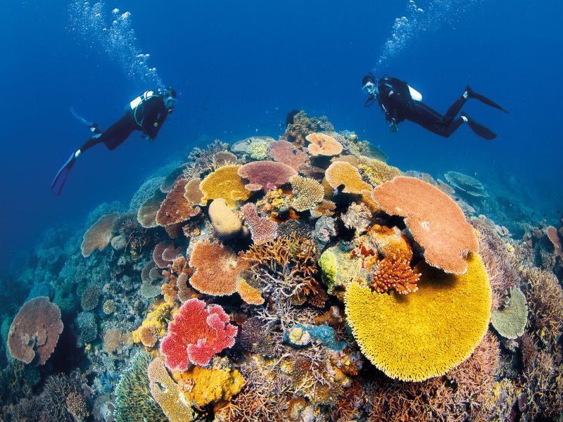 Dive the Great Barrier Reef, Australia