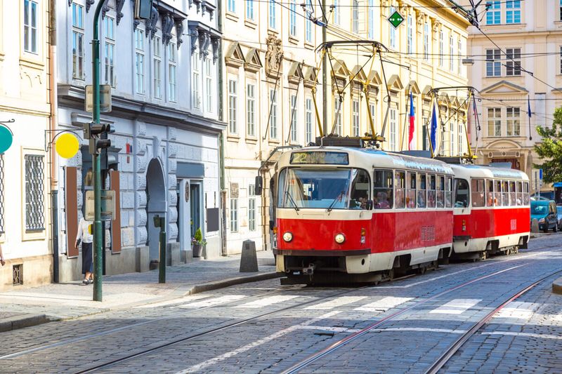 Understand Local Transportation