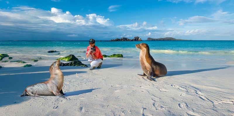 Explore the Galápagos Islands, Ecuador