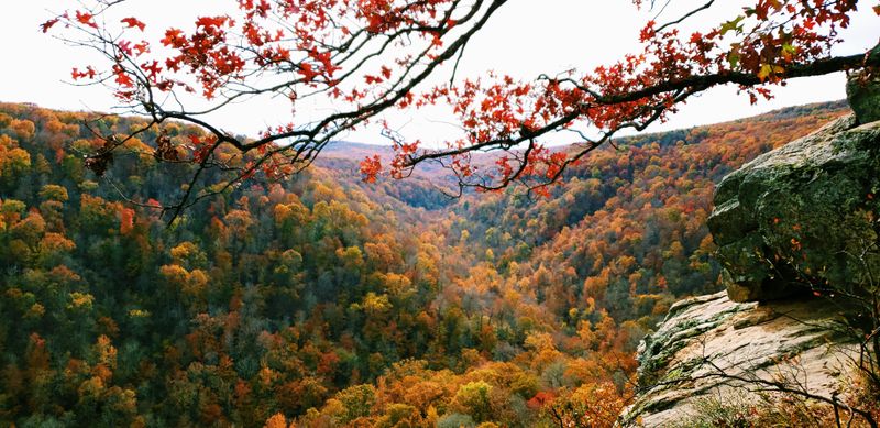 Ozark National Forest, Arkansas