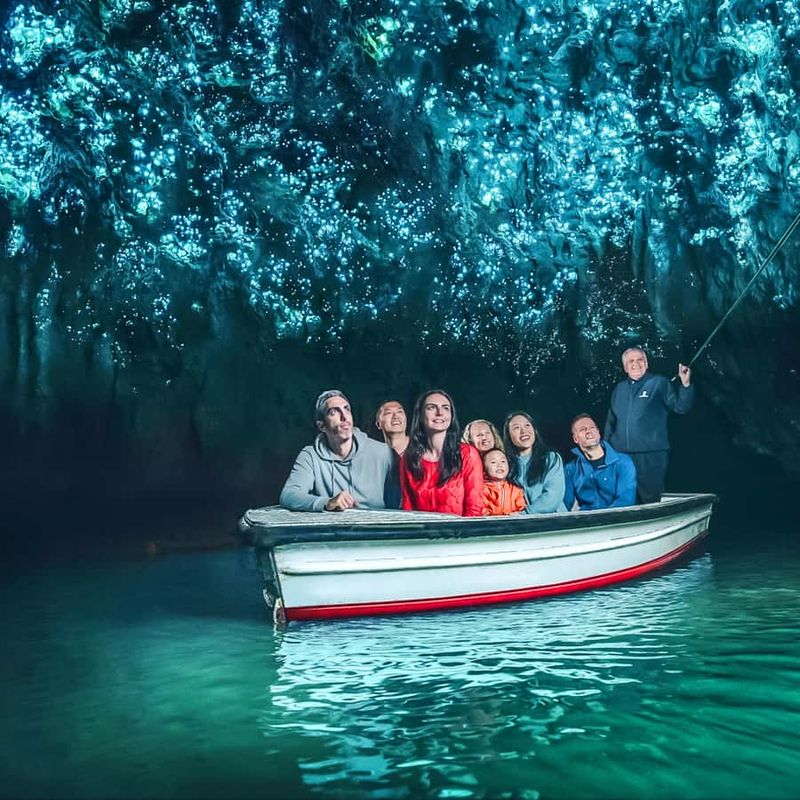 Explore the Enchanting Caves of Waitomo, New Zealand