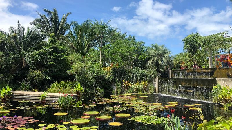 Naples Botanical Garden